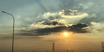 高平小麦技术优势